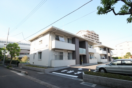 シルフィ　Ⅱ201-1