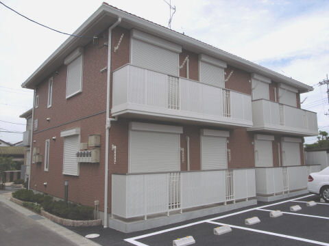 ウィルコートコガネ　Ｂ201-1