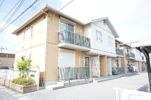 ジナンドモルフＡ201-1