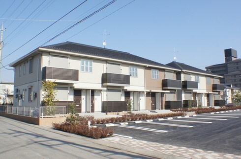 Ｇｒａｓｓ　ｈａｒｐ　Ｂ101-1