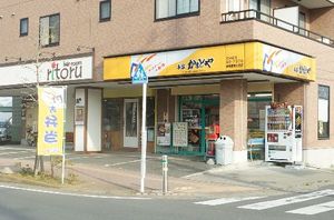 サニーコートハタ 201号-14
