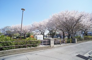 フレグランス・アカシヤ　Ａ 201号-12