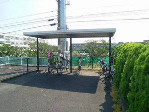 ヴィオラ 101号-13