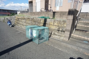 グレイス日吉台西 201号-12