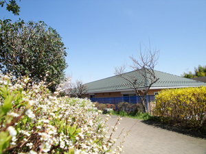 エコール・ド・ドルフ　Ⅲ 203号-15