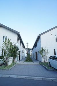 GRACE 203号-13
