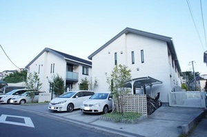 GRACE 203号-14