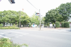 キャンサーⅡ 201号-14