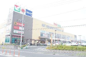 サン・カトレア 202号-13