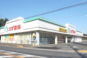 Belle Message 202号-2