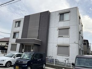 tortoiseshell幸 103号-12