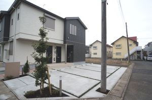 サイネリア 202号-12