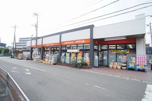 サイネリア 202号-14