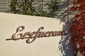 エレフクレイン 302号-12