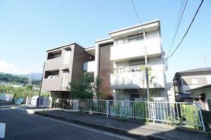 Ｓｅｒｄｉｎａ 202号-1