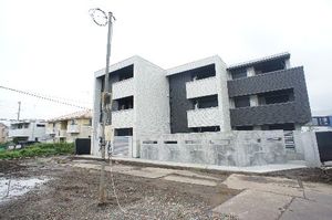 Ｓｈａｍａｉｓｏｎ　Ｅｂｉｎａ　Ⅱ 203号-13