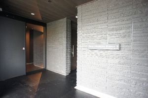 Ｓｈａｍａｉｓｏｎ　Ｅｂｉｎａ　Ⅱ 203号-14