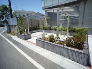 アルシオネⅥ 201号-5