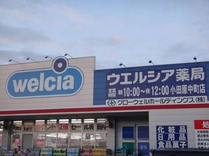 パストラル 201号-15