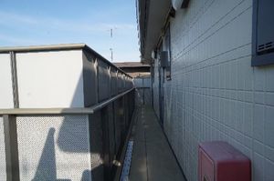 ウェルくげぬま 203号-14