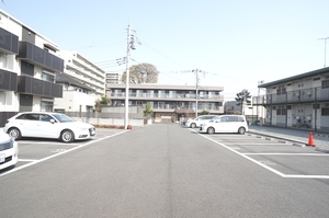 ルピナス B 301号-13