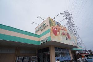 Ｎ．Ｎ西 101号-15