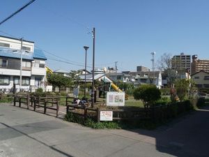 Ｃｒｙｐｔｏｍｅｒｉａ湘南 102号-15