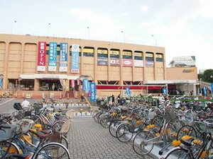 グリーンキャッスル 201号-3