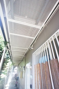 サマーハイツ　Ｂ 203号-14