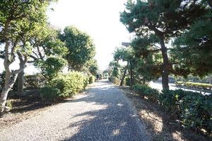 シーサイドコート B 101号-13
