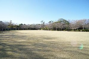 シーサイドコート B 101号-15