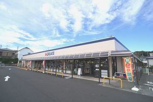 パークハイツ 102号-13