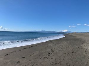 クリオネ 203号-13