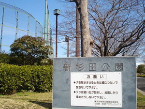 ベレオ新杉田 203号-13