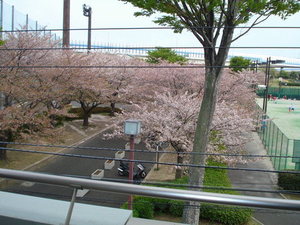 ベレオ新杉田 203号-14