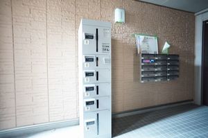 グルナーワルト菊名　Ｂ 101号-6