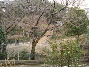 ラ　メゾン　デ　サージュ 102号-13