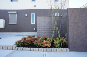 ＢｅｌｌＷｏｏｄ桂　Ｂ 101号-12