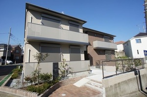 Ｃａｎｅ　Ｃｏｒｓｏ 102号-12