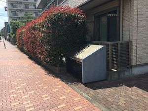 サザンクロス 302号-2