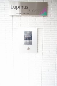 ルピナス 103号-13