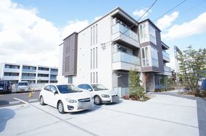 Ｏｌｄ　ｔｒｅｅ　１ｓｔ