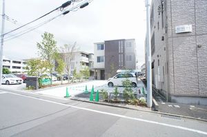 Ｏｌｄ　ｔｒｅｅ　２ｎｄ