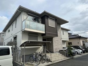 アリスティオ　Ｍ 205号-1