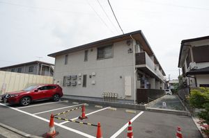 ハイビューティフル　Ｄ 205号-15