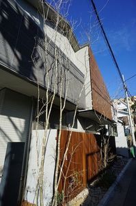 ＣＩＬＩＥＧＩＯ 102号-14