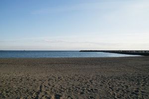 ツィンヴィラ旭が丘　Ａ 102号-15