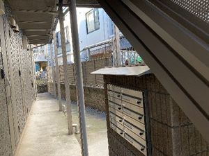 プラシデス 105号-14