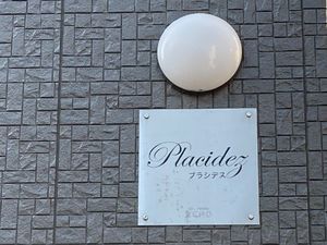 プラシデス 105号-15