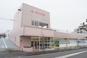 シャンティ・Ｙ 101号-15